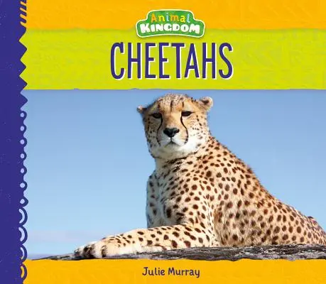 Geparden - Cheetahs