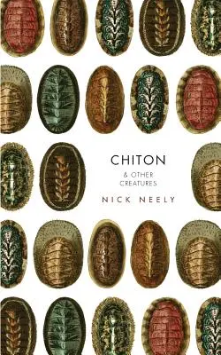 Chiton & andere Kreaturen - Chiton & Other Creatures