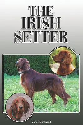 Der Irish Setter: Ein vollständiger und umfassender Leitfaden für Besitzer: Kaufen, Besitzen, Gesundheit, Pflege, Training, Gehorsam, Verstehen und - The Irish Setter: A Complete and Comprehensive Owners Guide To: Buying, Owning, Health, Grooming, Training, Obedience, Understanding and