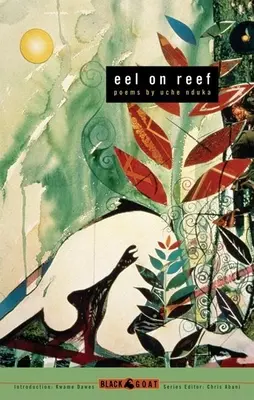 Aal am Riff - Eel on Reef