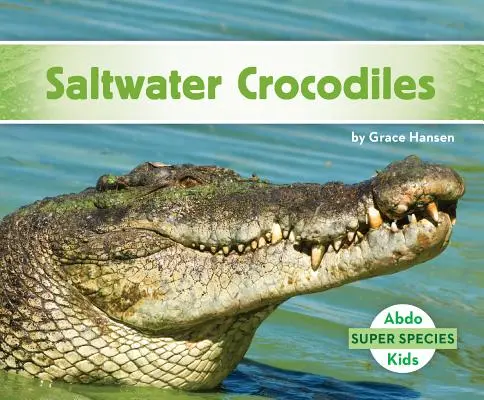 Salzwasserkrokodile - Saltwater Crocodiles