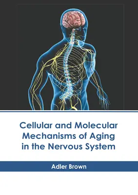 Zelluläre und molekulare Mechanismen der Alterung im Nervensystem - Cellular and Molecular Mechanisms of Aging in the Nervous System