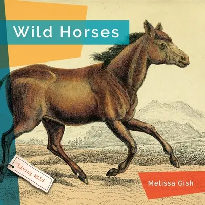 Wildpferde - Wild Horses