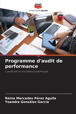 Programm zur Leistungsprüfung - Programme d'audit de performance