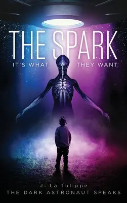 Der Funke: Das ist es, was sie wollen - The Spark: It's What They Want