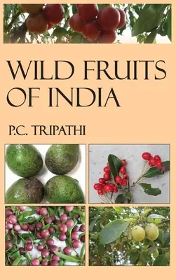 Wildfrüchte aus Indien - Wild Fruits of India