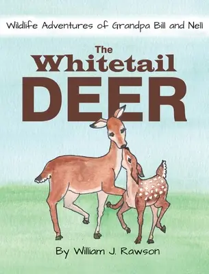 Der Weißwedelhirsch - The Whitetail Deer