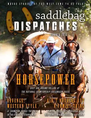 Satteltaschen-Depeschen-Sommer, 2016 - Saddlebag Dispatches-Summer, 2016