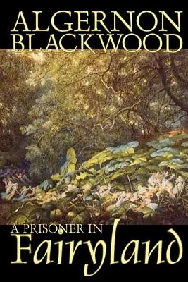 Ein Gefangener im Märchenland von Algernon Blackwood, Belletristik, Fantasy, Krimi & Detektiv - A Prisoner in Fairyland by Algernon Blackwood, Fiction, Fantasy, Mystery & Detective