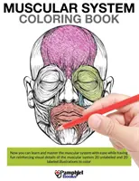 Muskulatur-Malbuch - Muscular System Coloring Book
