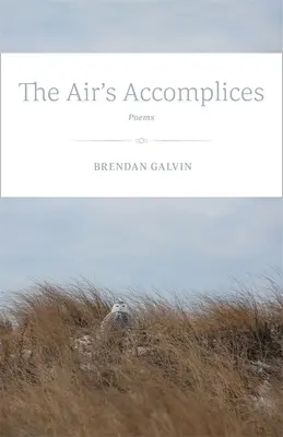 Die Komplizen der Luft: Gedichte - The Air's Accomplices: Poems