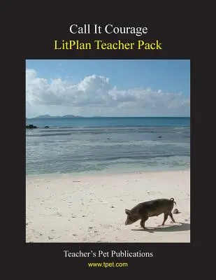 Litplan Teacher Pack: Call It Courage