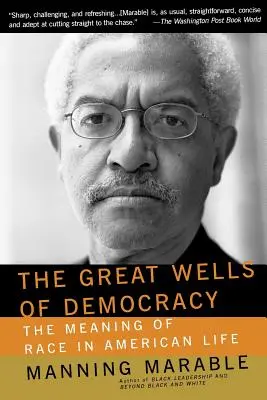 Die großen Brunnen der Demokratie: Die Bedeutung der Ethnie im amerikanischen Leben - The Great Wells of Democracy: The Meaning of Race in American Life