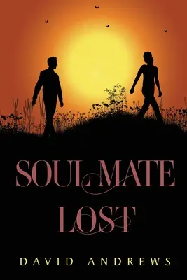 Seelenverwandter verloren - Soul Mate Lost