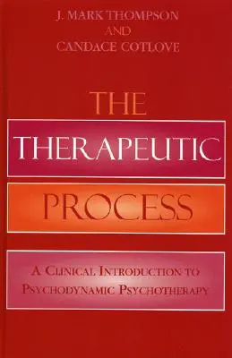 Der Therapeutische Prozess: Eine klinische Einführung in die Psychodynamische Psychotherapie - The Therapeutic Process: A Clinical Introduction to Psychodynamic Psychotherapy