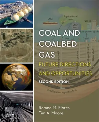 Kohle und Kohleflözgas: Zukünftige Wege und Möglichkeiten - Coal and Coalbed Gas: Future Directions and Opportunities