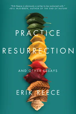 Praxis Auferstehung: Und andere Essays - Practice Resurrection: And Other Essays