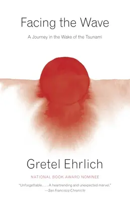 Der Welle ins Auge sehen: Eine Reise im Gefolge des Tsunamis - Facing the Wave: A Journey in the Wake of the Tsunami