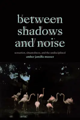 Zwischen Schatten und Lärm: Sensation, Situiertheit und das Undisziplinierte - Between Shadows and Noise: Sensation, Situatedness, and the Undisciplined