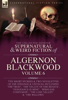 Die gesammelten kürzeren übernatürlichen und unheimlichen Erzählungen von Algernon Blackwood Band 6 - The Collected Shorter Supernatural & Weird Fiction of Algernon Blackwood Volume 6