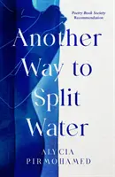 Eine andere Art, Wasser zu spalten - Another Way to Split Water