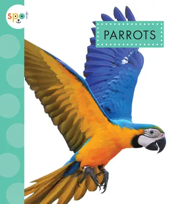 Papageien - Parrots