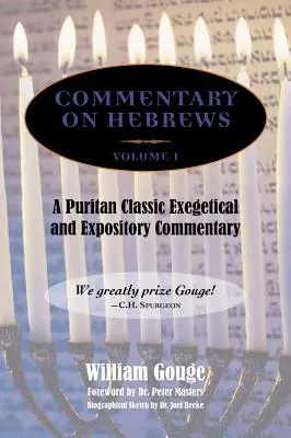 Kommentar zum Hebräerbrief: Exegetischer und ausführlicher Kommentar - Bd. 1 (Hebr. 1-7) - Commentary on Hebrews: Exegetical and Expository - Vol. 1 (Heb. 1-7)