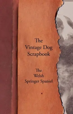 The Vintage Dog Scrapbook - Der Welsh Springer Spaniel - The Vintage Dog Scrapbook - The Welsh Springer Spaniel