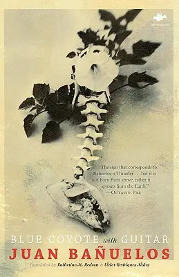 Blauer Kojote mit Gitarre - Blue Coyote with Guitar