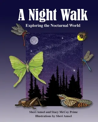 Eine Nachtwanderung: Erkundung der nächtlichen Welt - A Night Walk: Exploring the Nocturnal World