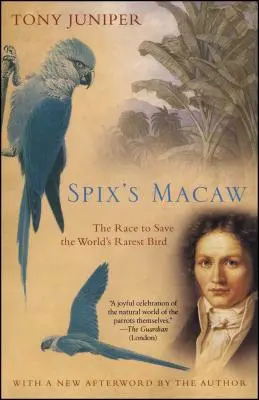 Spix-Ara: Der Wettlauf um die Rettung des seltensten Vogels der Welt - Spix's Macaw: The Race to Save the World's Rarest Bird