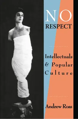 Kein Respekt: Intellektuelle und Populärkultur - No Respect: Intellectuals and Popular Culture