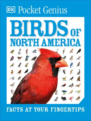 Pocket Genius Birds of North America (Vögel Nordamerikas) - Pocket Genius Birds of North America