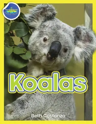 Koala Activity Workbook 4-8 Jahre - Koala Activity Workbook ages 4-8