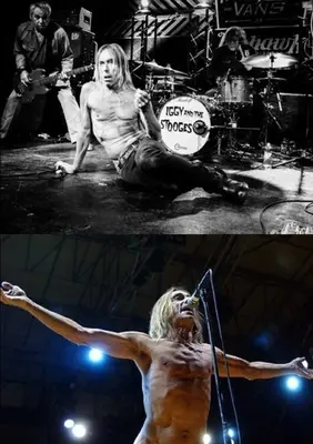 Iggy und die Stooges - Iggy and the Stooges