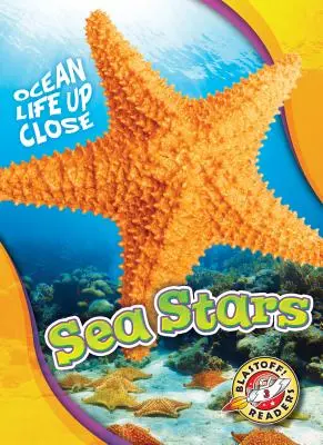 Seesterne - Sea Stars