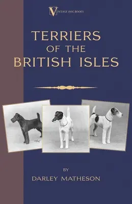 Terrier - Ein illustrierter Leitfaden (ein Rassenklassiker unter den Hundebüchern) - Terriers - An Illustrated Guide (a Vintage Dog Books Breed Classic)