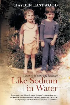 Wie Natrium im Wasser: Eine Erinnerung an Heimat und Herzschmerz - Like Sodium in Water: A memoir of home and heartache