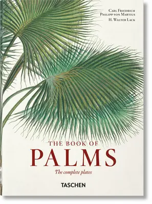 Von Martius. das Buch der Palmen. 40. Auflage. - Von Martius. the Book of Palms. 40th Ed.