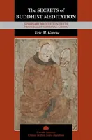Die Geheimnisse der buddhistischen Meditation: Visionäre Meditationstexte aus dem frühmittelalterlichen China - The Secrets of Buddhist Meditation: Visionary Meditation Texts from Early Medieval China