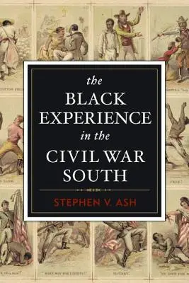 Die Erfahrung der Schwarzen im Süden des Bürgerkriegs - The Black Experience in the Civil War South