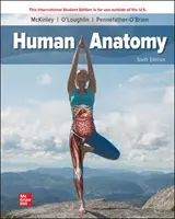 ISE Menschliche Anatomie - ISE Human Anatomy