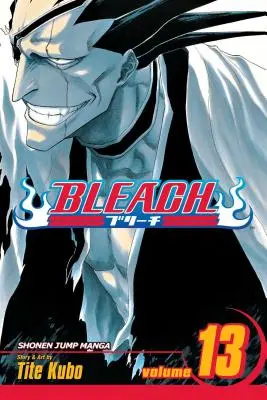 Bleach, Band 13: Band 13 - Bleach, Vol. 13: Volume 13