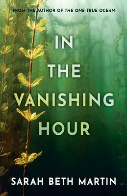 In der verschwindenden Stunde - In the Vanishing Hour