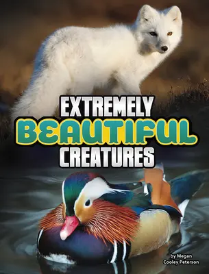 Extrem schöne Kreaturen - Extremely Beautiful Creatures