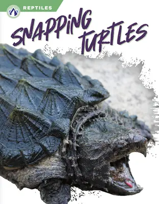 Schnappende Schildkröten - Snapping Turtles