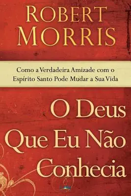 O Deus Que Eu Nao Conhecia: Wie eine verdammte Freundschaft mit dem Heiligen Geist das eigene Leben verändern kann - O Deus Que Eu Nao Conhecia: Como a Verdadeira Amizade Com o Espirito Santo Pode Mudar a Sua Vida