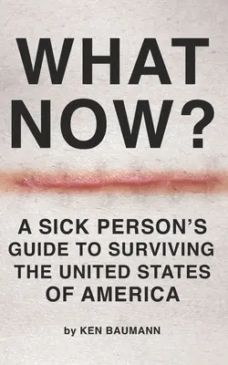 Was nun? Ein Leitfaden für Kranke zum Überleben in den Vereinigten Staaten von Amerika - What Now?: A Sick Person's Guide to Surviving the United States of America