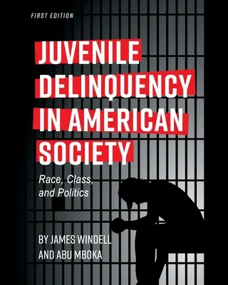 Jugendkriminalität in der amerikanischen Gesellschaft: Ethnie, Klasse und Politik - Juvenile Delinquency in American Society: Race, Class, and Politics