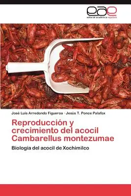 Fortpflanzung und Vermehrung des Acocil Cambarellus Montezumae - Reproduccion y Crecimiento del Acocil Cambarellus Montezumae